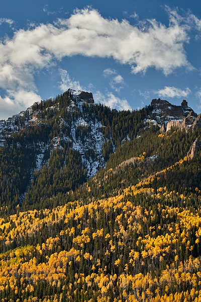 Yellow Hillside