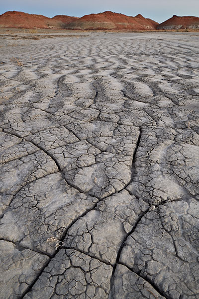 Cracked Ground