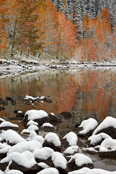 High-Country Fall