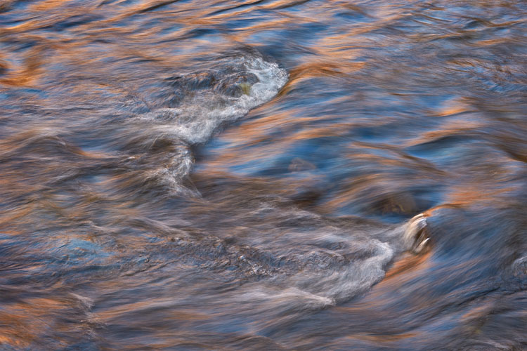 Golden Waves